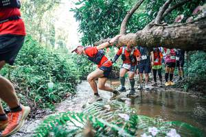 BIB: 
                            <button type="button" onclick="openModal(25469370)" class="btn btn-primary btn-sm float-right btn-popup" data-toggle="modal" data-target=".modal-high-quality">
                        <i class="fas fa-shopping-cart"></i> Add to Cart
                    </button>
                                            <button type="button" onclick="isThisMe(25469370, true)" class="btn btn-success btn-sm float-right btn-popup btn-isme hidden" data-toggle="tooltip" data-placement="bottom" title="นี่คือรูปของคุณใช่ไหม คลิกที่นี่เพื่อเอาเข้าอัลบั้ม">
                        <i class="fas fa-plus"></i> Add to album
                    </button>
                    <button type="button" onclick="isThisMe(25469370, false)" class="btn btn-warning btn-sm float-right btn-popup btn-isnotme hidden">
                        <i class="fas fa-ban"></i> Remove from album
                    </button>